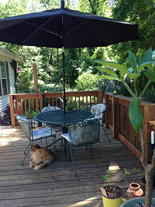 back deck